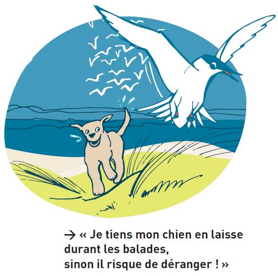 Illustration Mathilde Desgré