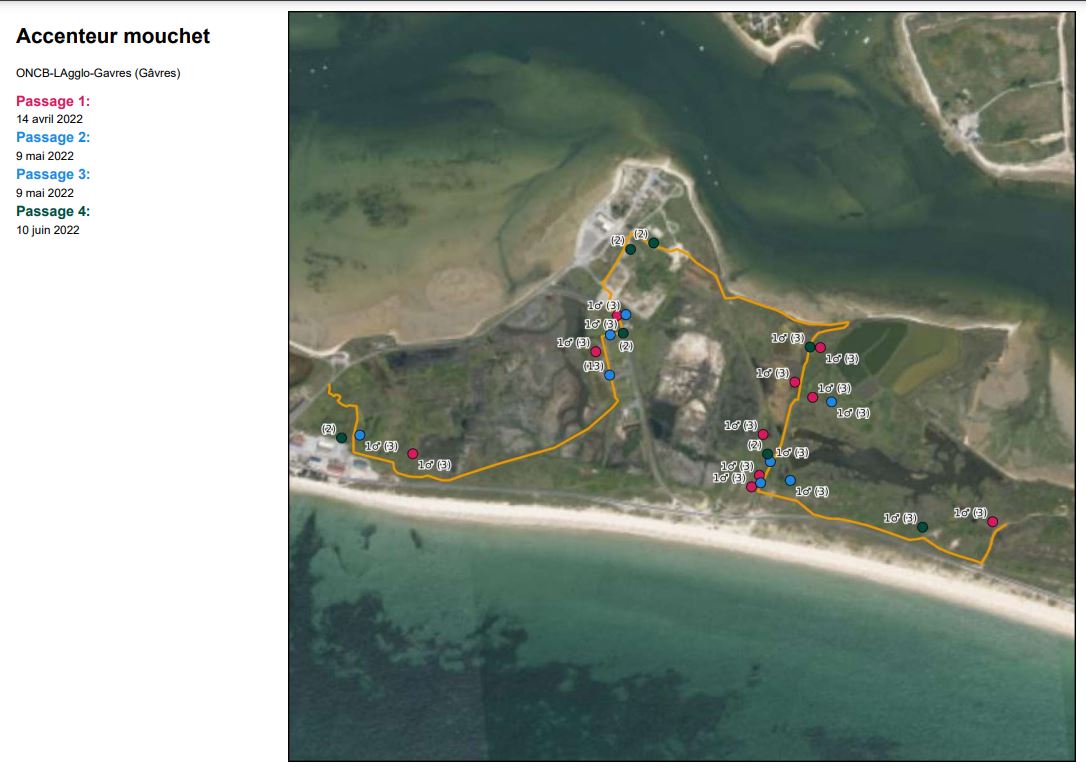 Cartes des résultats bruts par espèce pour les marais de Kersahu (source : Bretagne vivante)