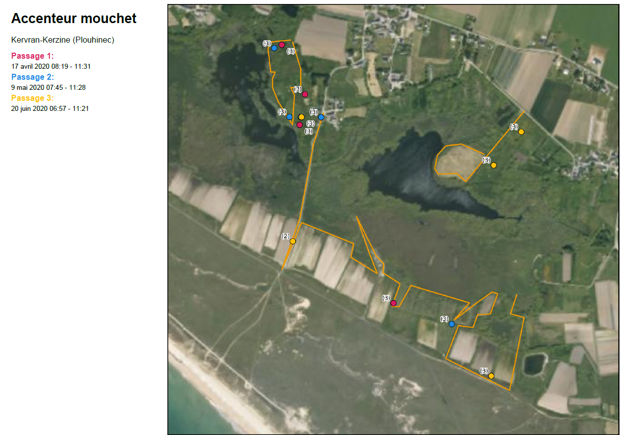 Cartes des résultats bruts par espèce pour les étangs de Kervran et Kerzine (source : Benjamin Callard)
