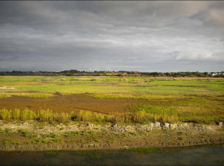Marais de Pen Mané