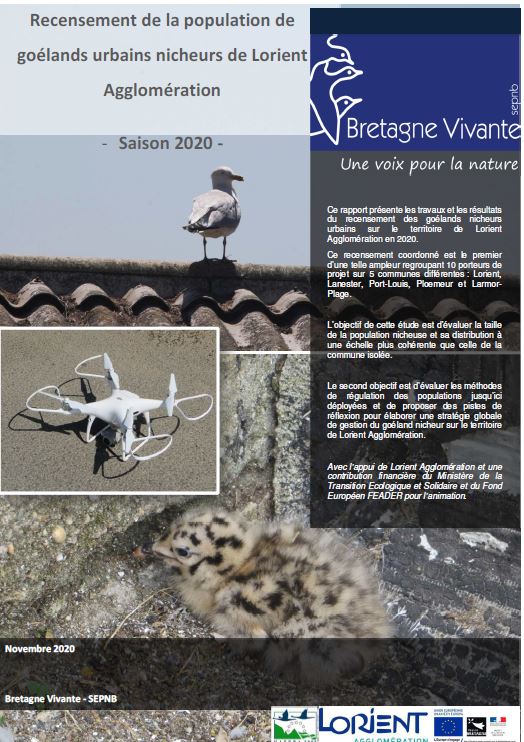 Rapport concernant les goélands nicheurs urbains sur le territoire de Lorient Agglomération - printemps 2022
