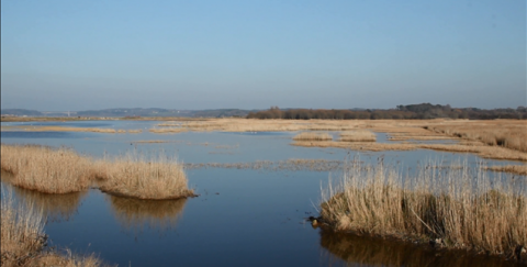 Marais de Pen Mané (C.Dubset, R.Guénard, M.Le Mau)